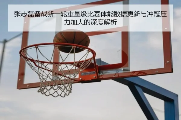 张志磊备战新一轮重量级比赛体能数据更新与冲冠压力加大的深度解析